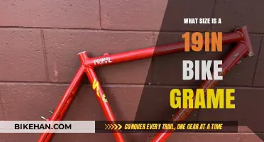 Understanding Bike Frame Sizes: A Guide to 19-Inch Frames