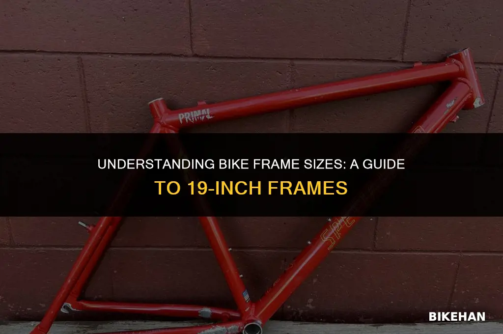 what size is a 19in bike grame