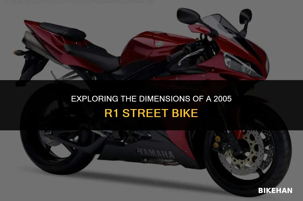 what size is a 2005 r1 street bike