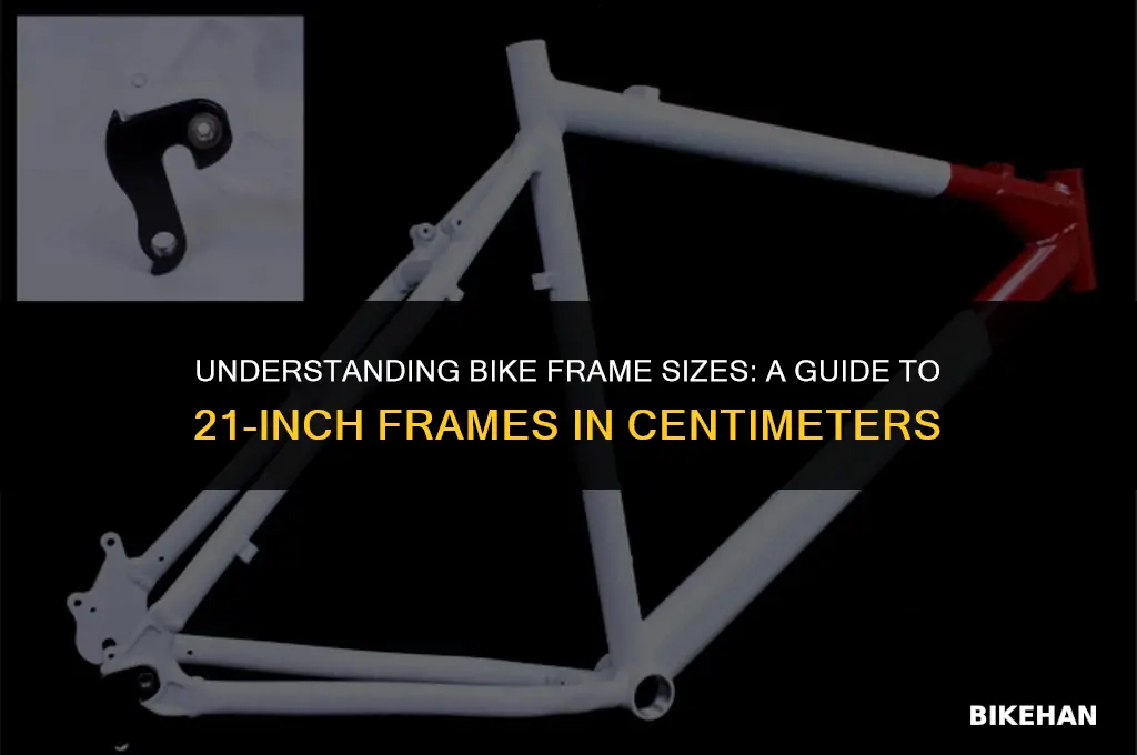 what size is a 21 inch bike frame in cm