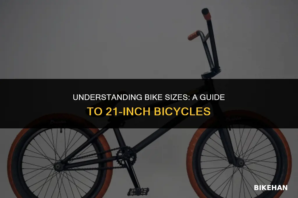 what size is a 21 inch bike
