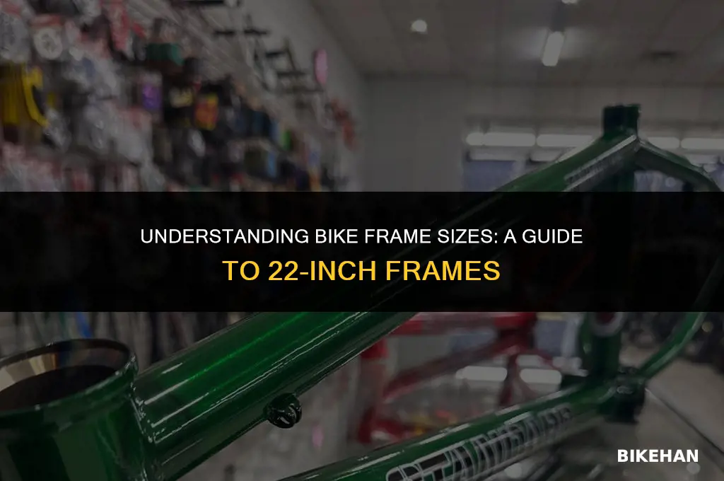 what size is a 22 inch bike frame