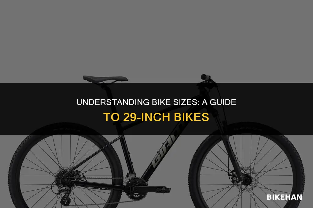 what size is a 29 inch bike