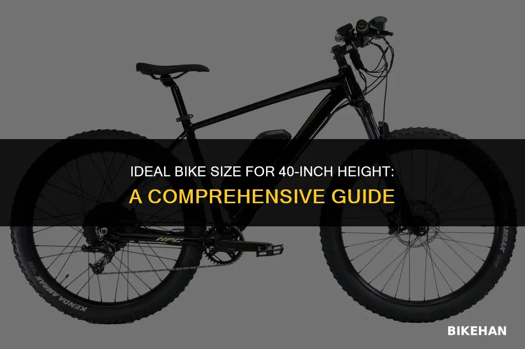 what size is a 40 inch height bike size