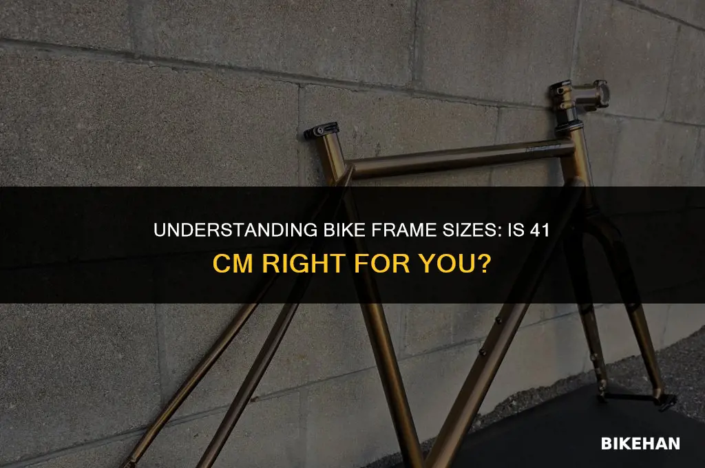 what size is a 41 cm bike frame