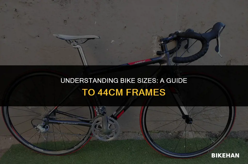 what size is a 44cm bike
