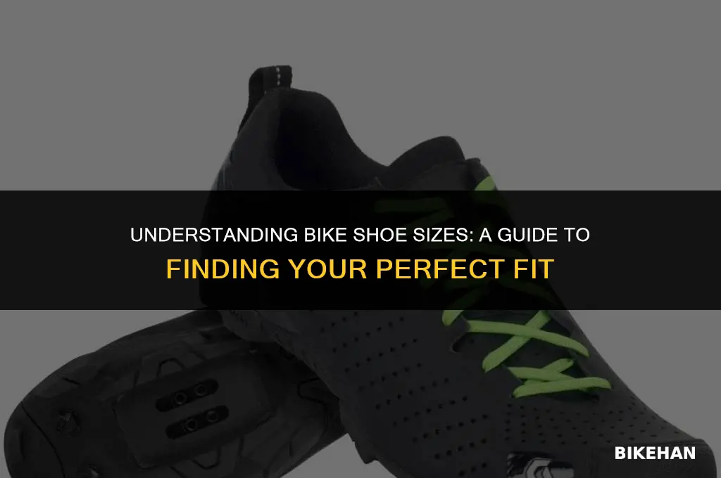 what size is a 45 bike shoe