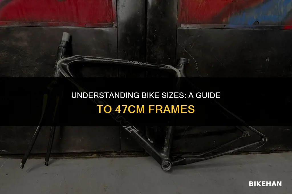 what size is a 47cm bike