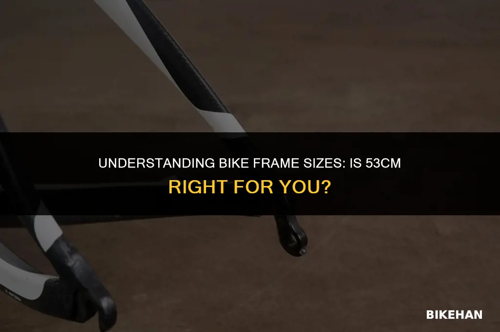 what size is a 53cm bike frame