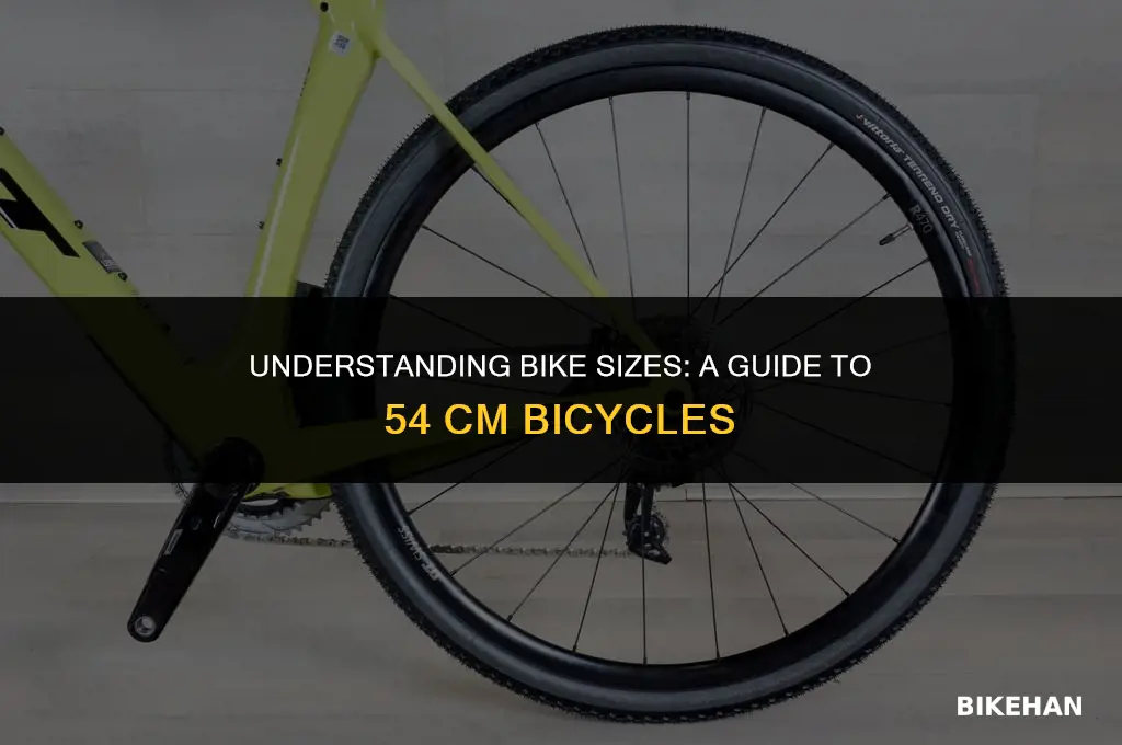 what size is a 54 cm bike