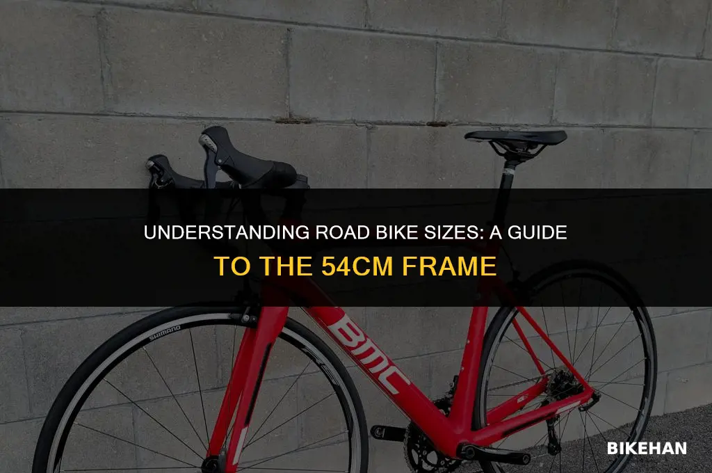 what size is a 54 road bike