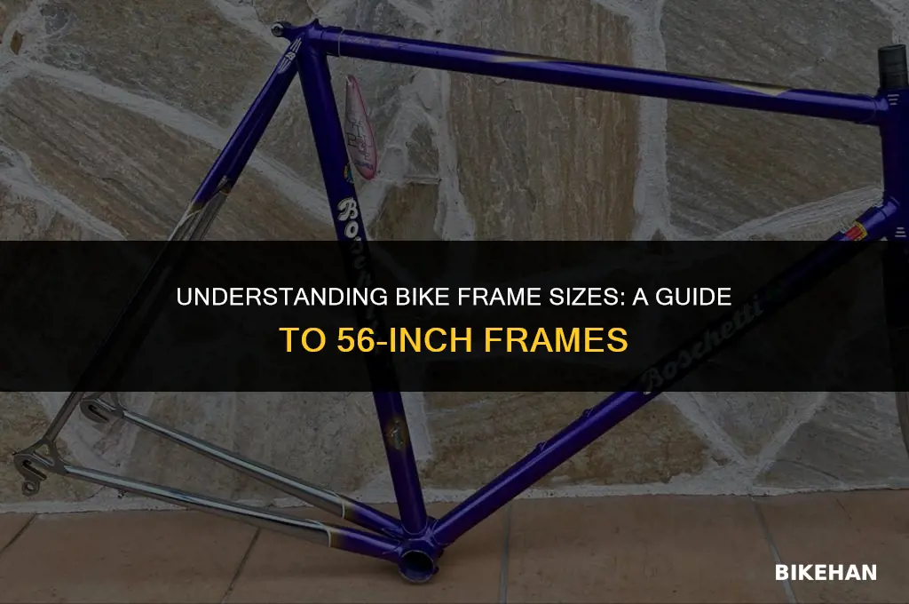 what size is a 56 inch bike frame
