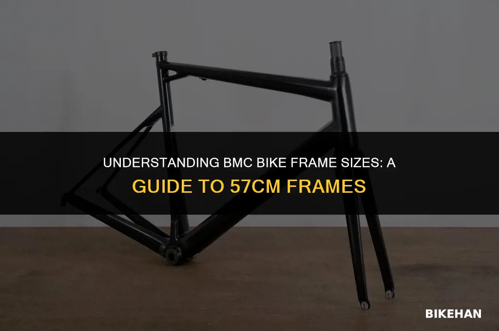 what size is a 57cm bmc bike frame