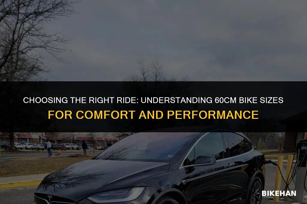 what size is a 60cm bike