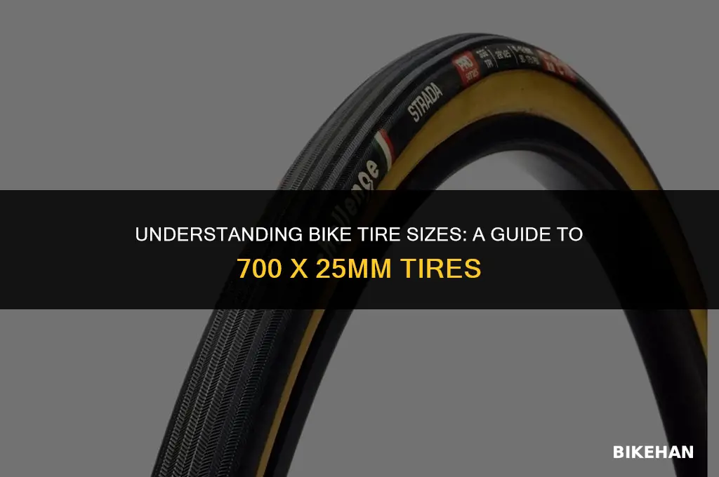what size is a 700 x 25mm bike tire