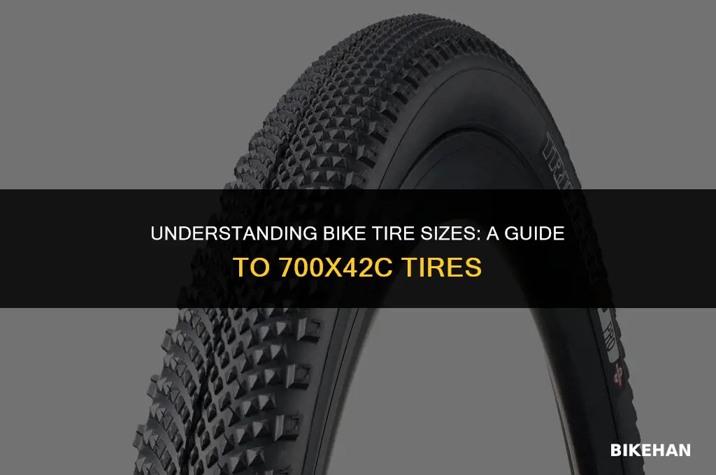what size is a 700x42c bike tore