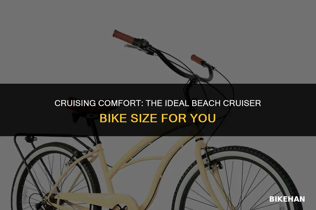 what size is a beach cruiser bike