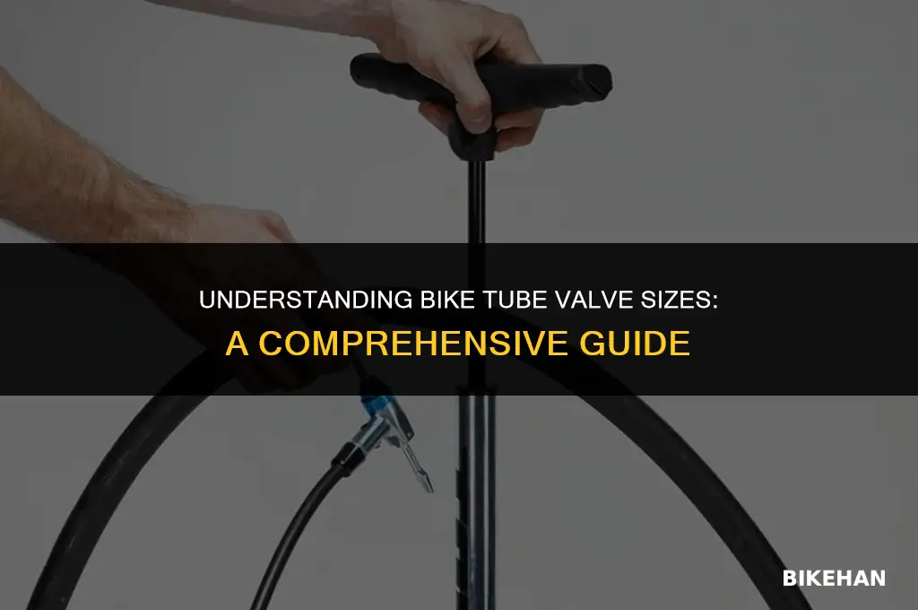 what size is a bike tube valve