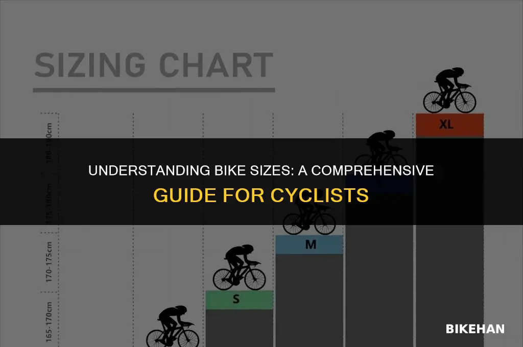 what size is a bike
