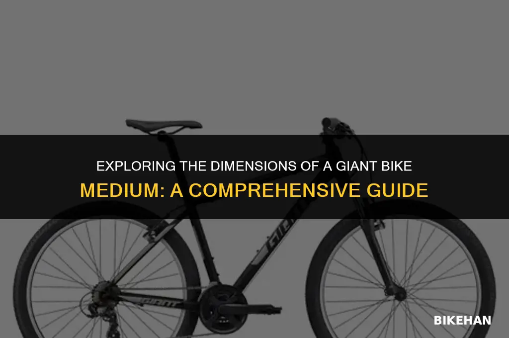 what size is a giant bike medium