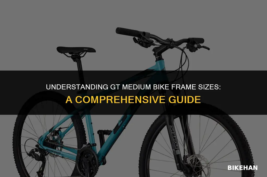 what size is a gt medium bike frame