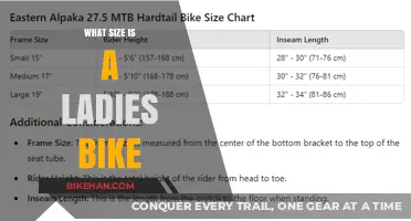 Choosing the Perfect Fit: A Guide to Ladies' Bike Sizes