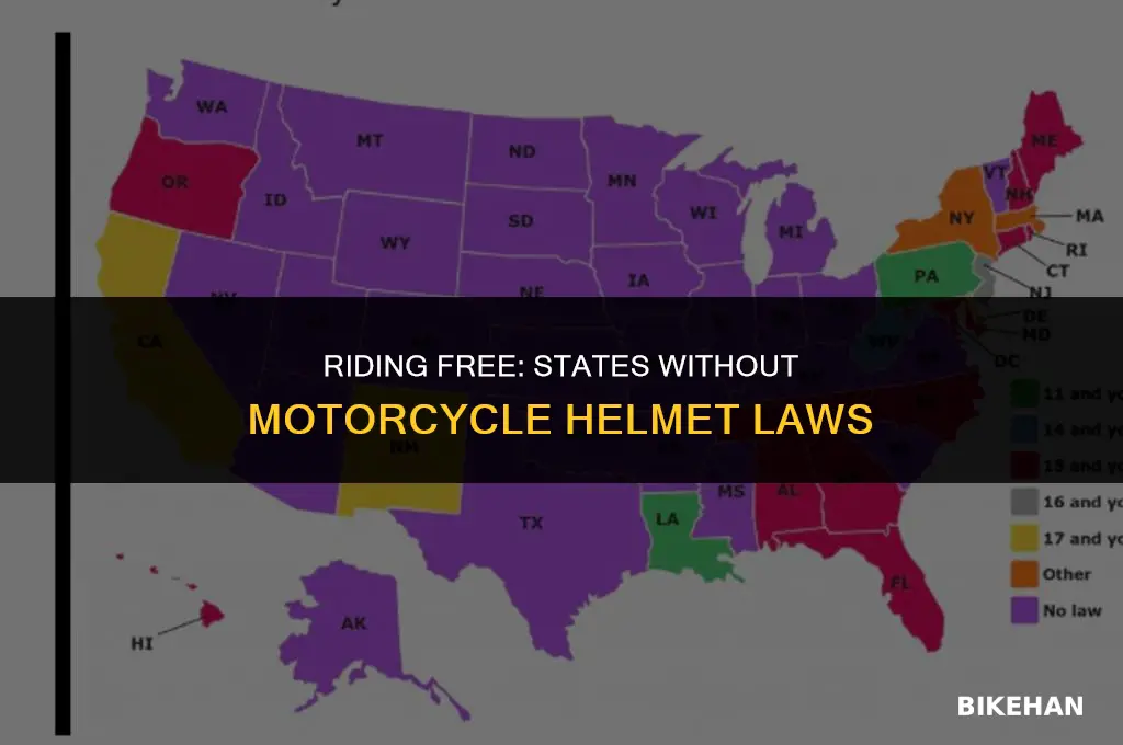 what states don