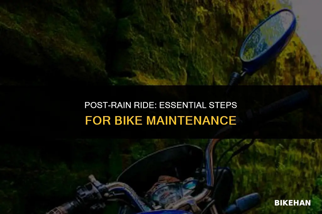 what to do if bike gets rained on