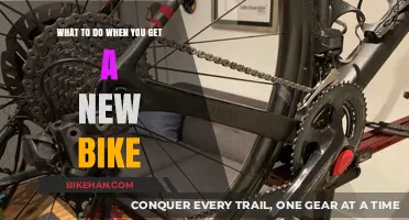 Revving Up Your Ride: A Guide to Your New Bike Adventure