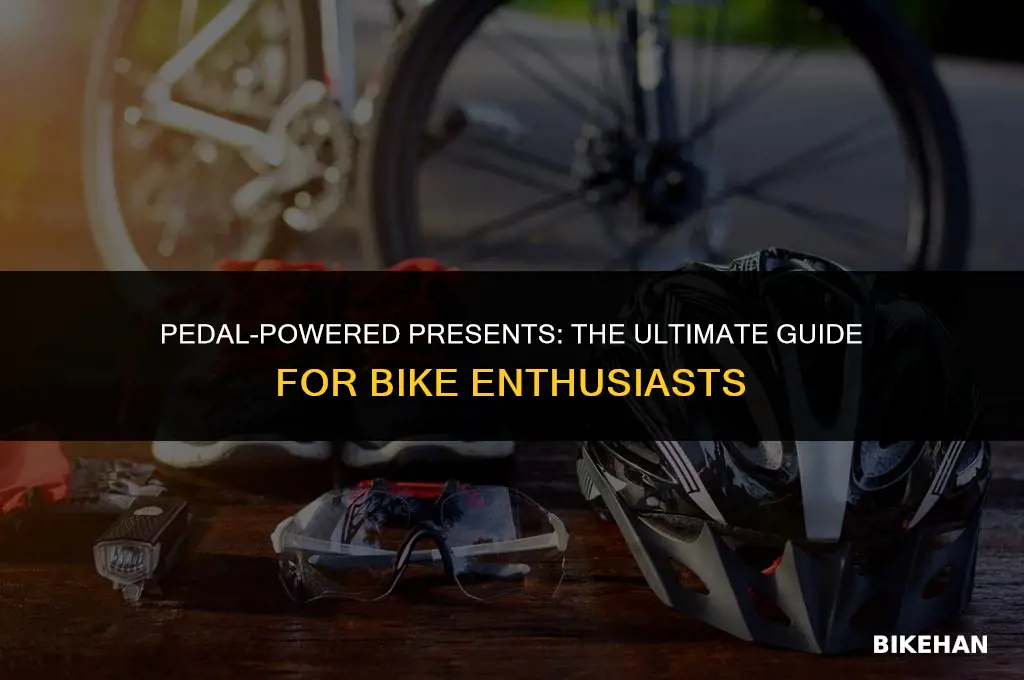 what to get a bike enthusiast