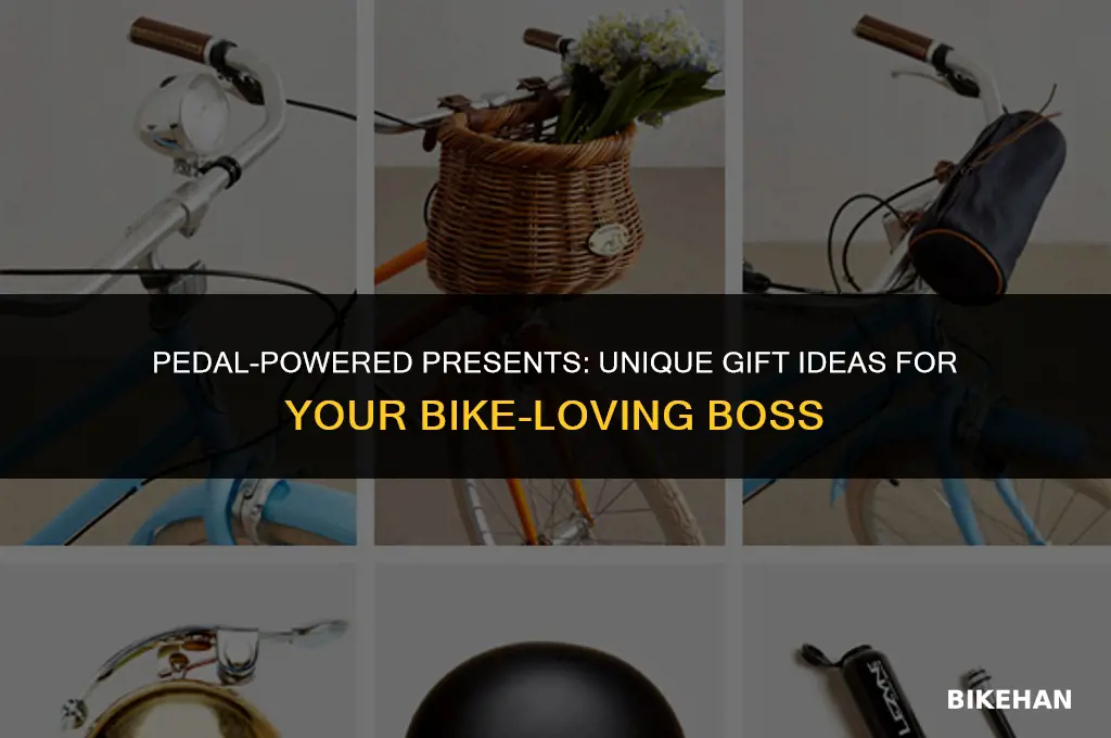 what to get a bike lover for bosses day