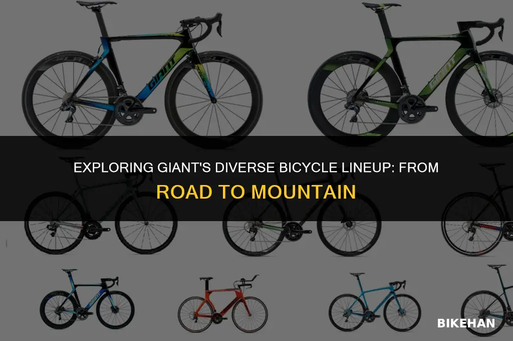 which bikes does giant make