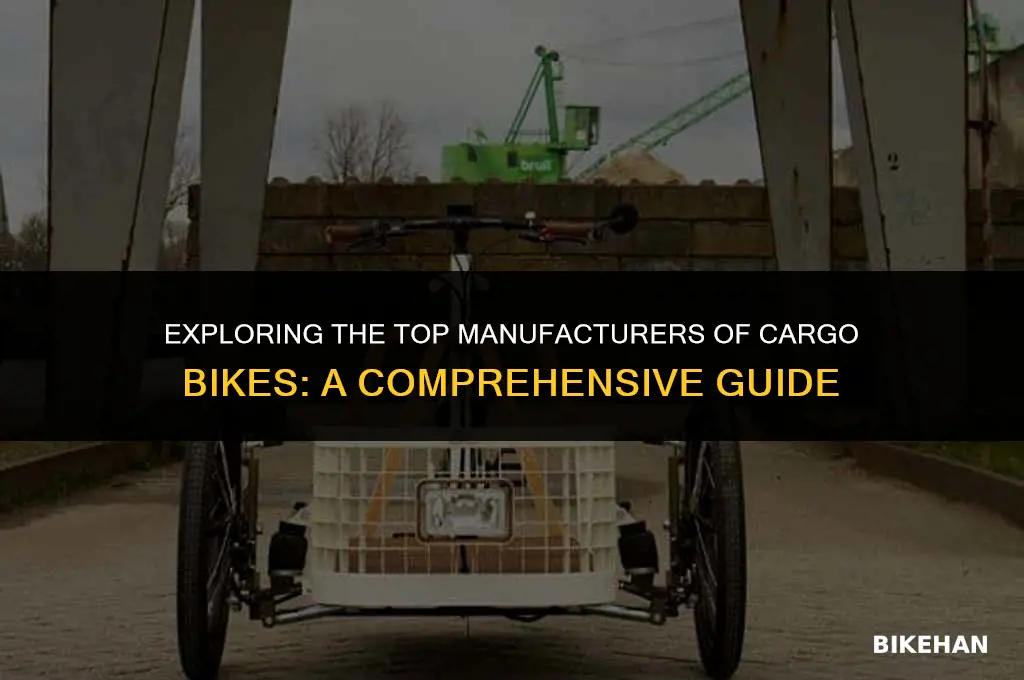 which companies make cargo bikes