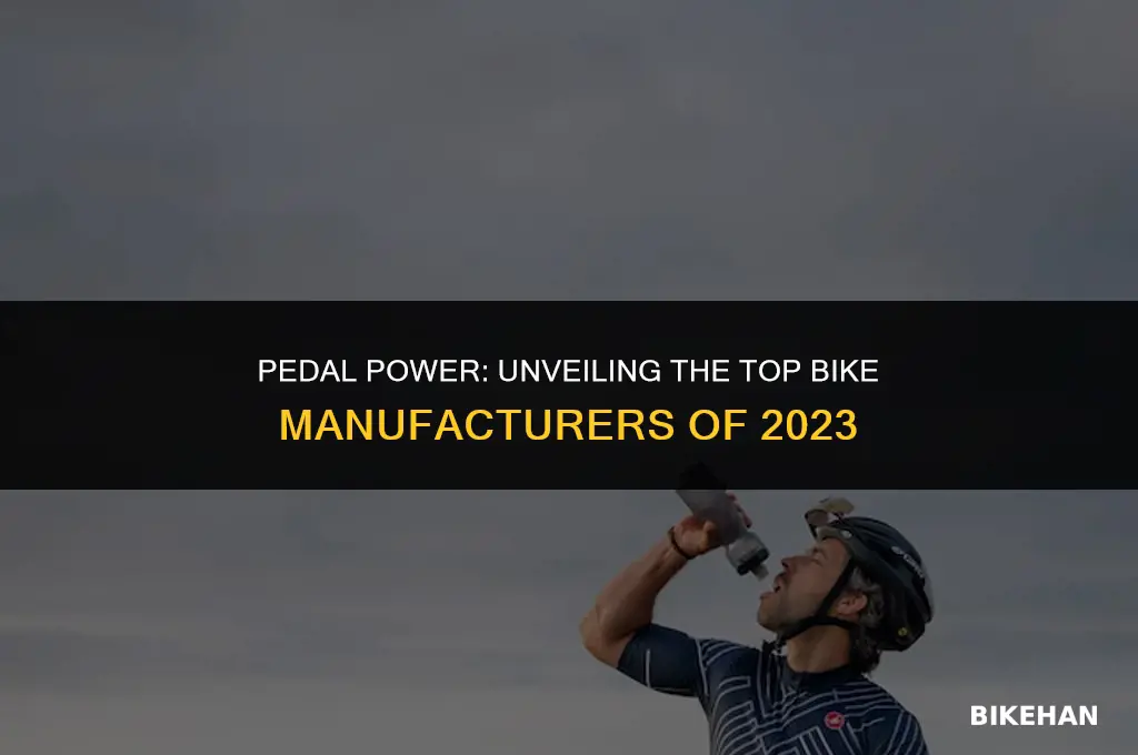 which company makes the best bikes