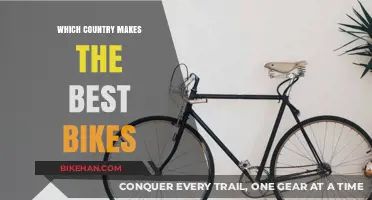 Pedal Power: Unveiling the Top Bike-Producing Nations