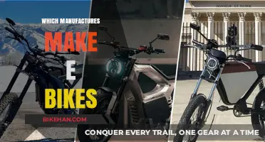 Exploring the Top E-Bike Manufacturers: A Comprehensive Guide