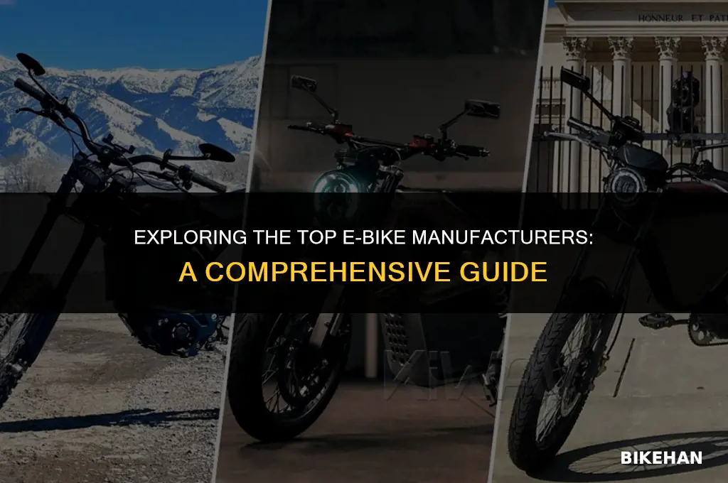 which manufactures make e bikes