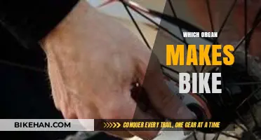Pedal Power: Unveiling the Ingenious Mechanism Behind Bicycles