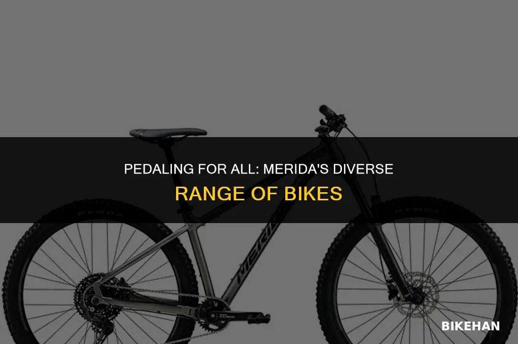 who do merida make bikes for