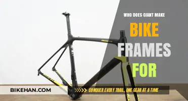 Exploring Giant's Bike Frame Partnerships: Who Benefits from Their Expertise?