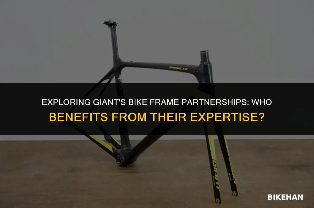 who does giant make bike frames for
