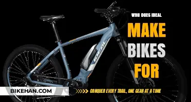 Ideal Bikes: Crafting the Perfect Ride for Every Cycling Enthusiast