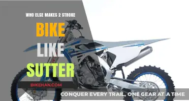 Exploring Alternatives: Two-Stroke Bikes Beyond Sutter