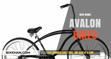 Crafting Quality Rides: The Makers Behind Avalon Bikes