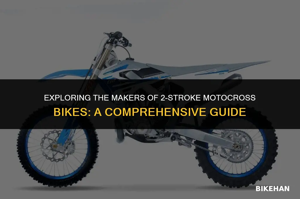 who makes 2 stroke motocross bikes