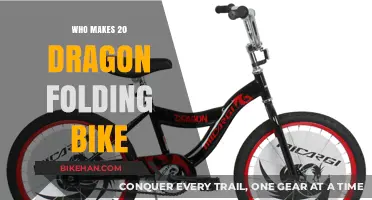 Exploring the Craftsmanship Behind the 20 Dragon Folding Bike