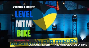 Exploring Top Brands for Your First Mountain Bike Adventure
