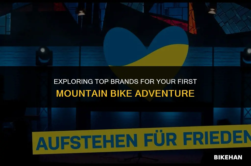 who makes a giid entry level mtm bike