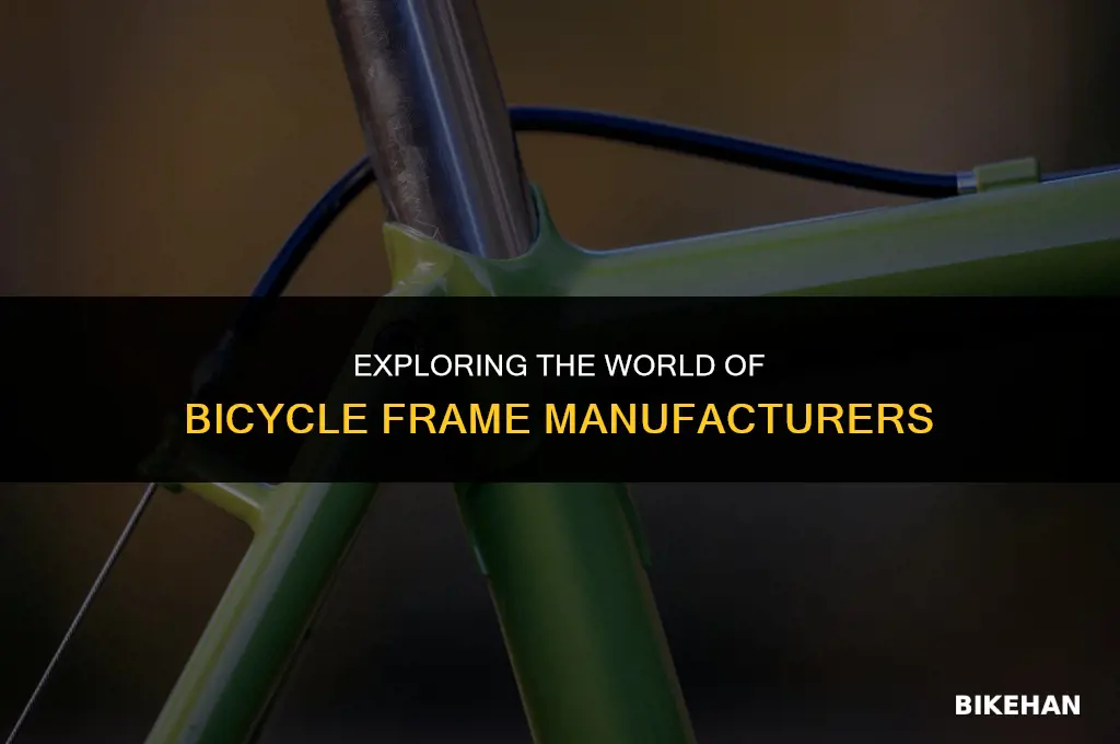 who makes all the bike frames